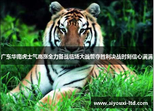 广东华南虎士气高涨全力备战临场大战誓夺胜利决战时刻信心满满